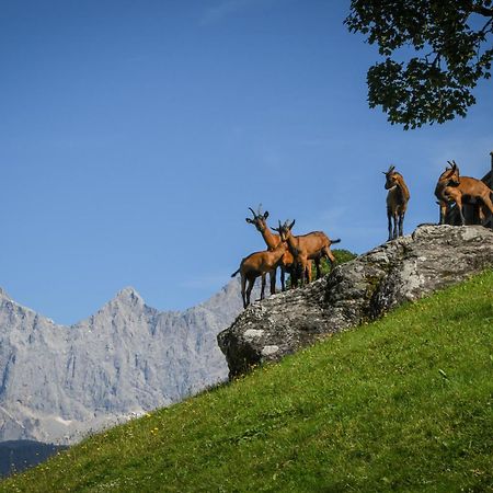 Strickhof Villa Schladming Eksteriør billede