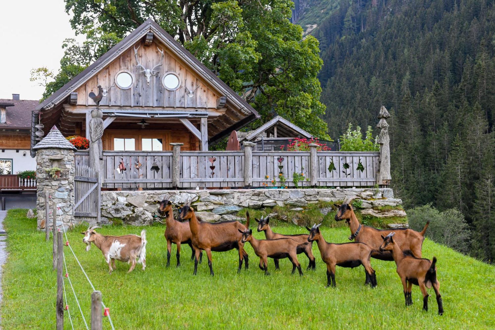 Strickhof Villa Schladming Eksteriør billede