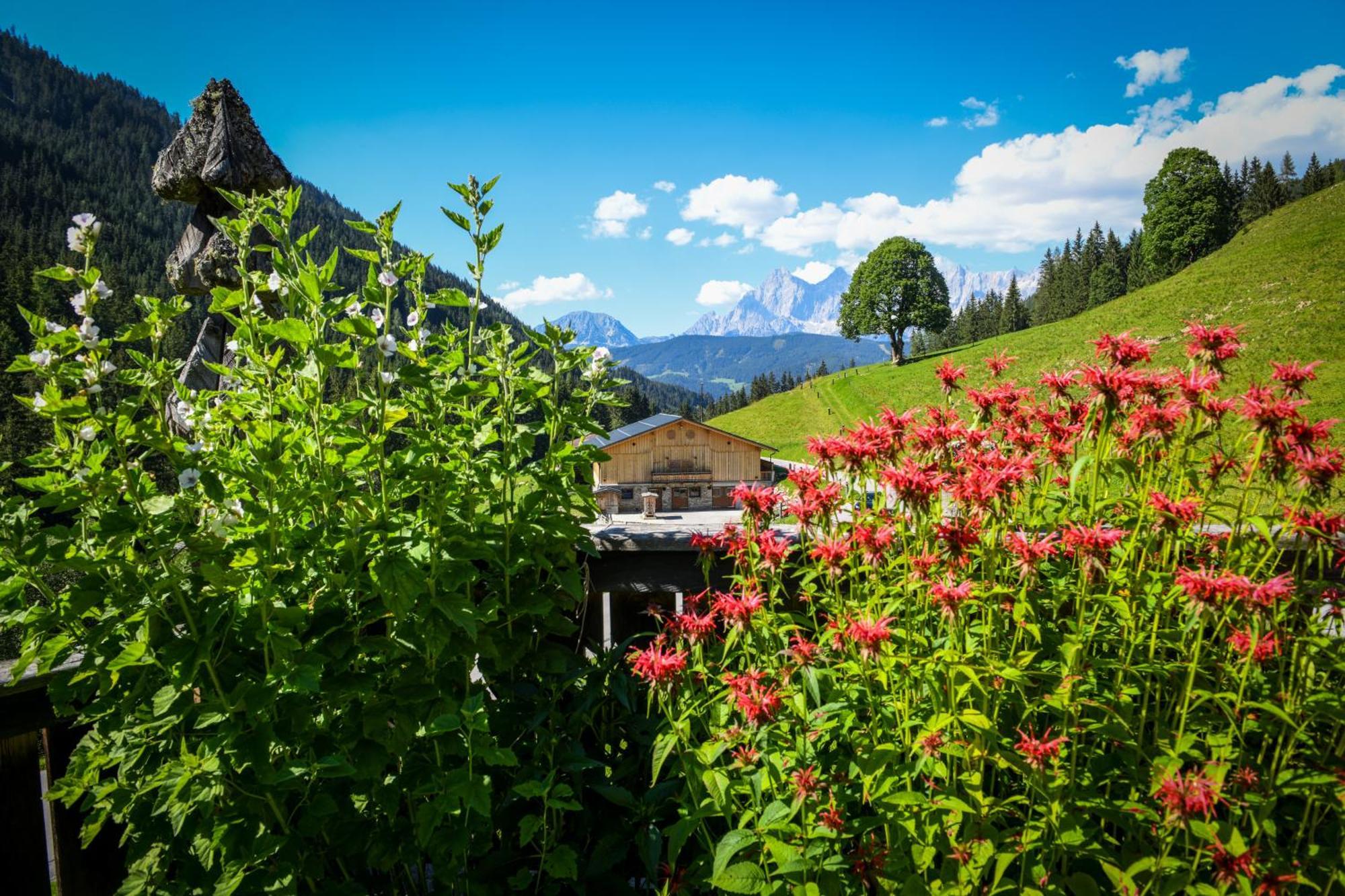 Strickhof Villa Schladming Eksteriør billede