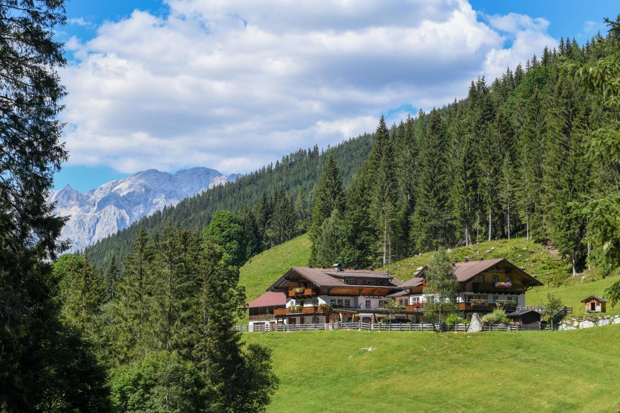 Strickhof Villa Schladming Eksteriør billede