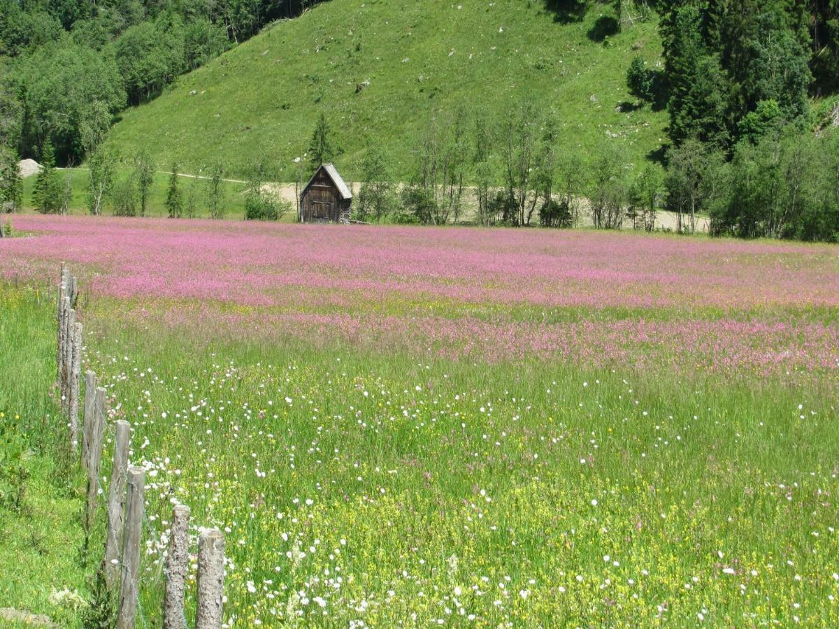 Strickhof Villa Schladming Eksteriør billede
